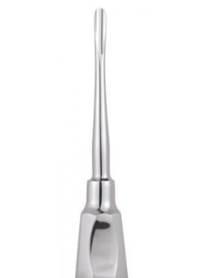 GDC Root Elevators Seldin Standard (E34)
