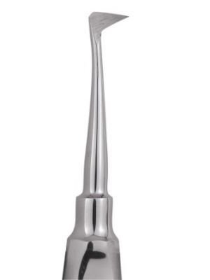 GDC Root Elevators Seldin Standard (E4l)