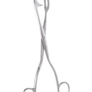 GDC Sterilizing Forceps Rogge (20cm) (Rf20)
