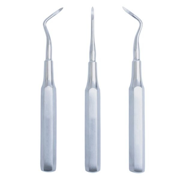 GDC Root Elevators Root Tip Pick Set Of 3 (Ehbs3)